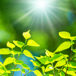 交通事故に関するご質問